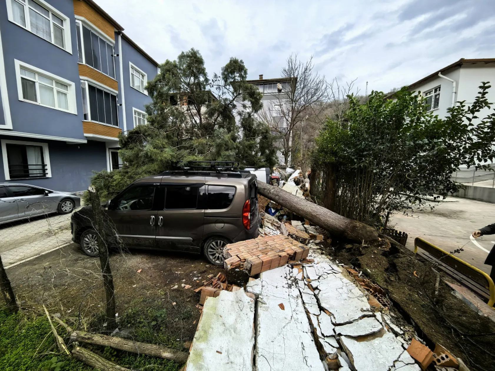 Fırtına Samsun'u Vurdu! Devrilen Ağaçlar Araçları Ezdi