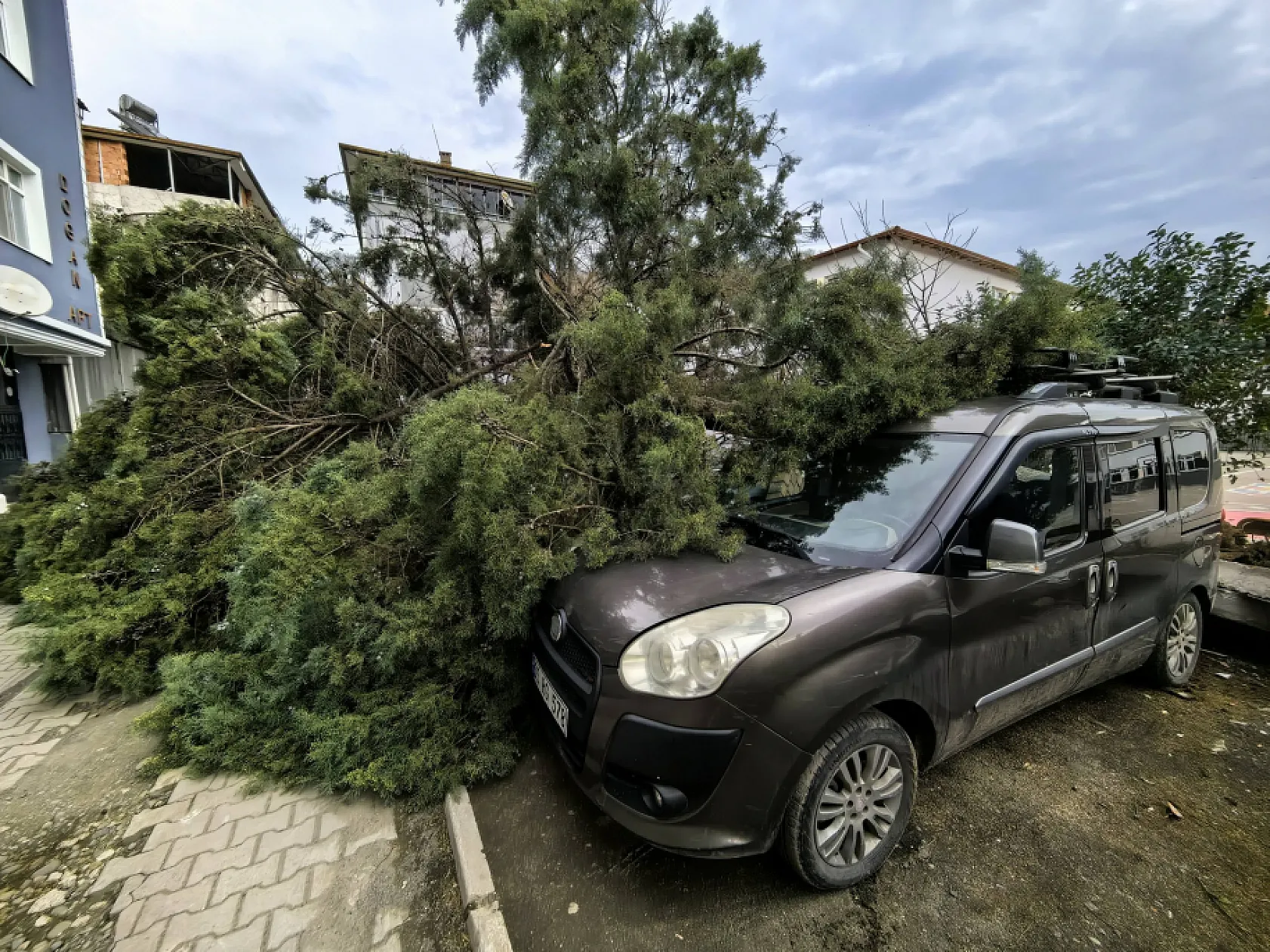Fırtına Samsun'u Vurdu! Devrilen Ağaçlar Araçları Ezdi