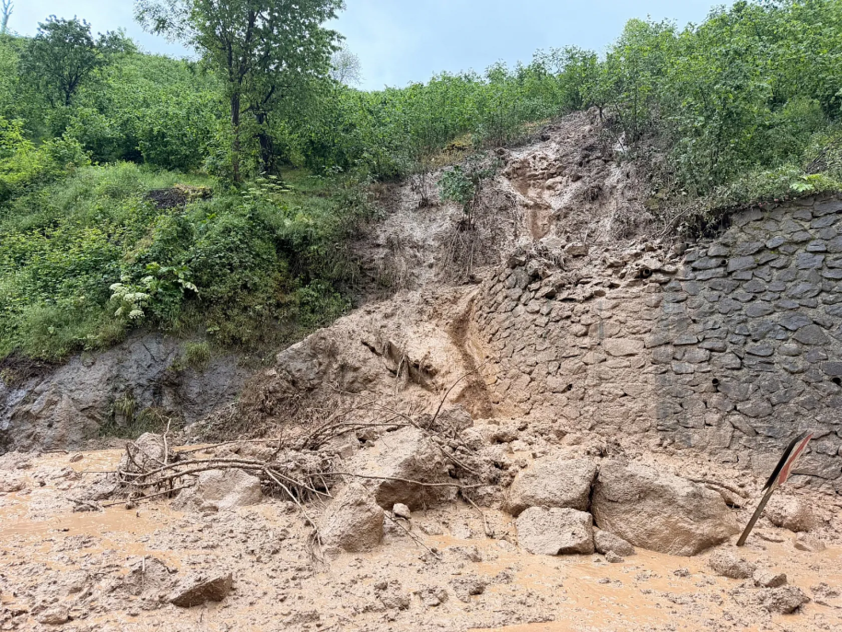 Ordu'da sağanak felaketi: Heyelan yolları kapattı, ekipler alarma geçti