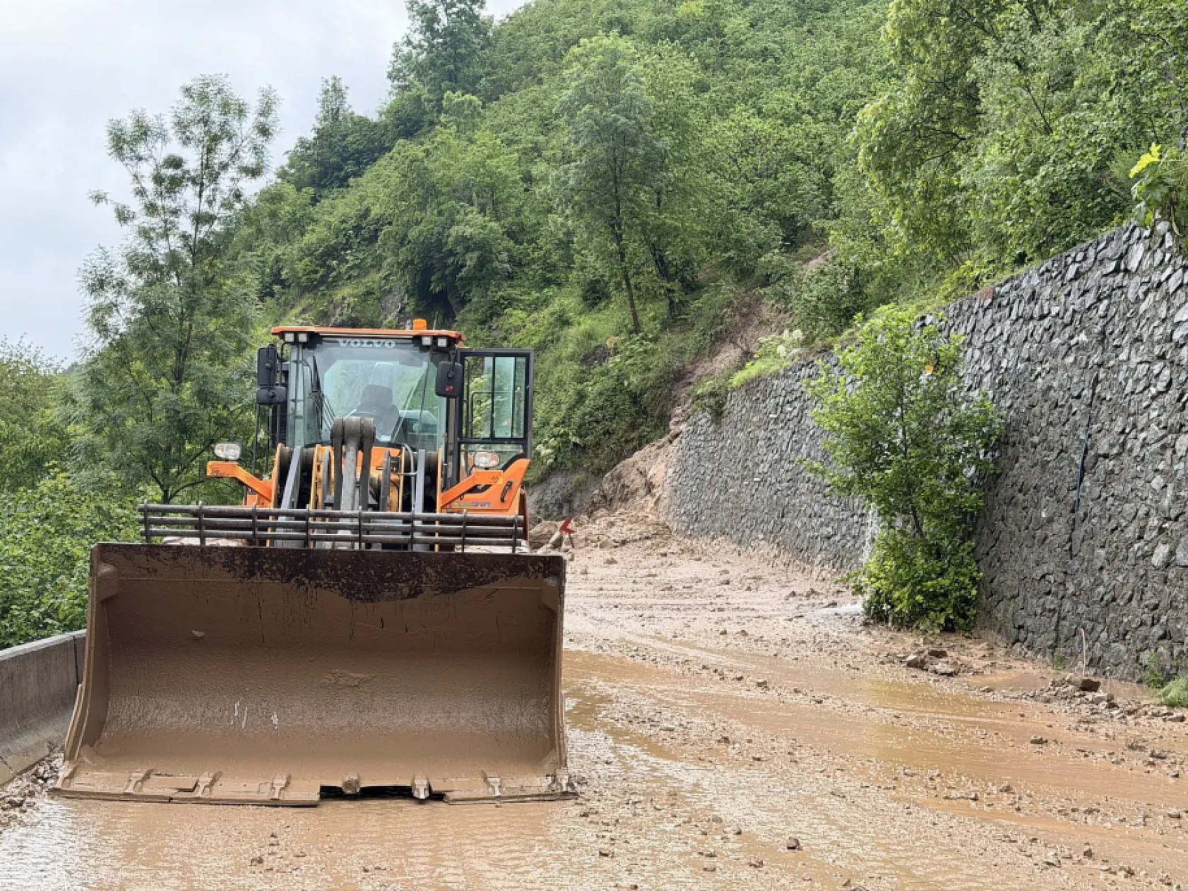 Ordu'da sağanak felaketi: Heyelan yolları kapattı, ekipler alarma geçti