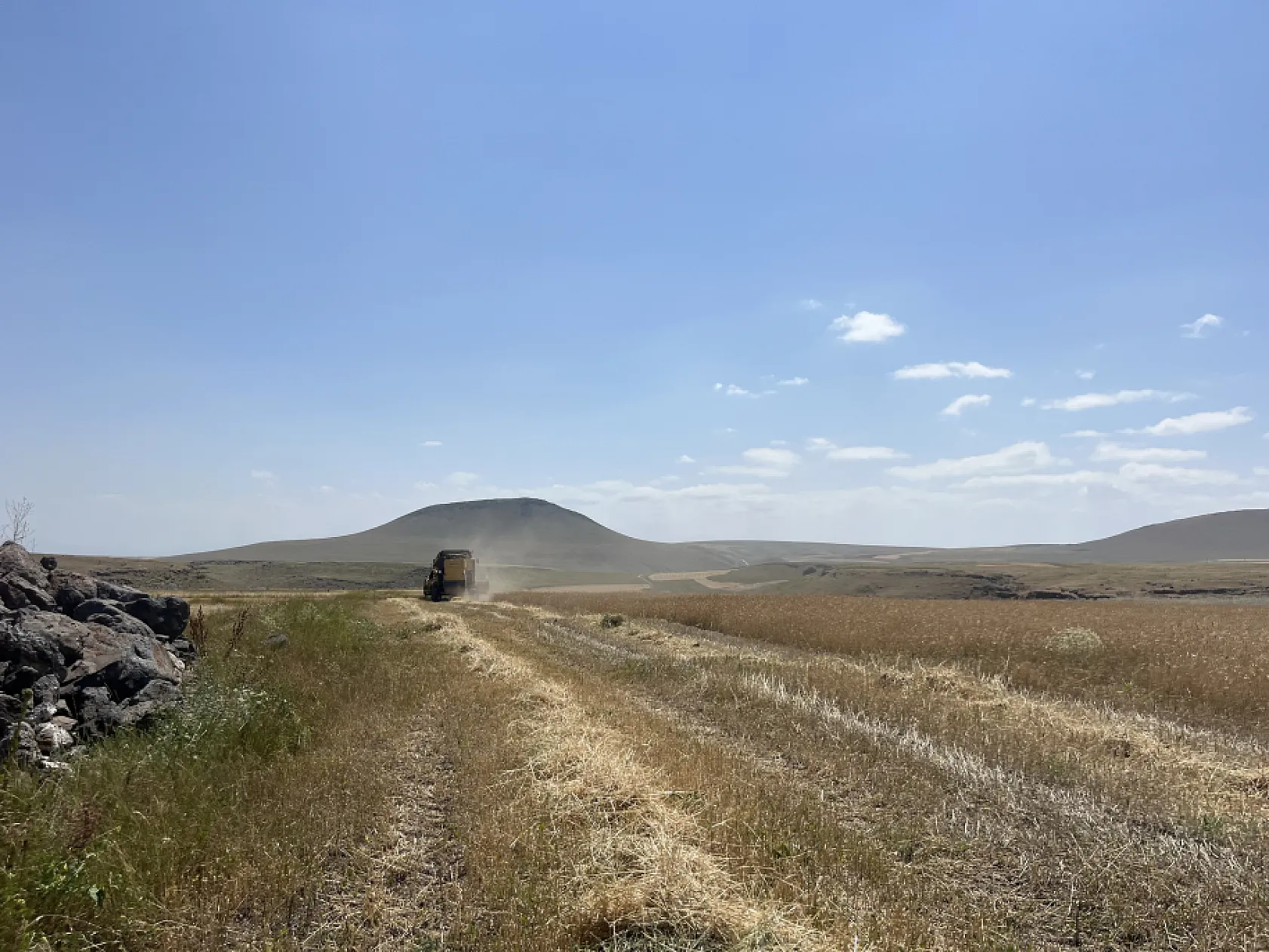 Kars'ta hasat mesaisi başladı: Çiftçiler zamanla yarışıyor