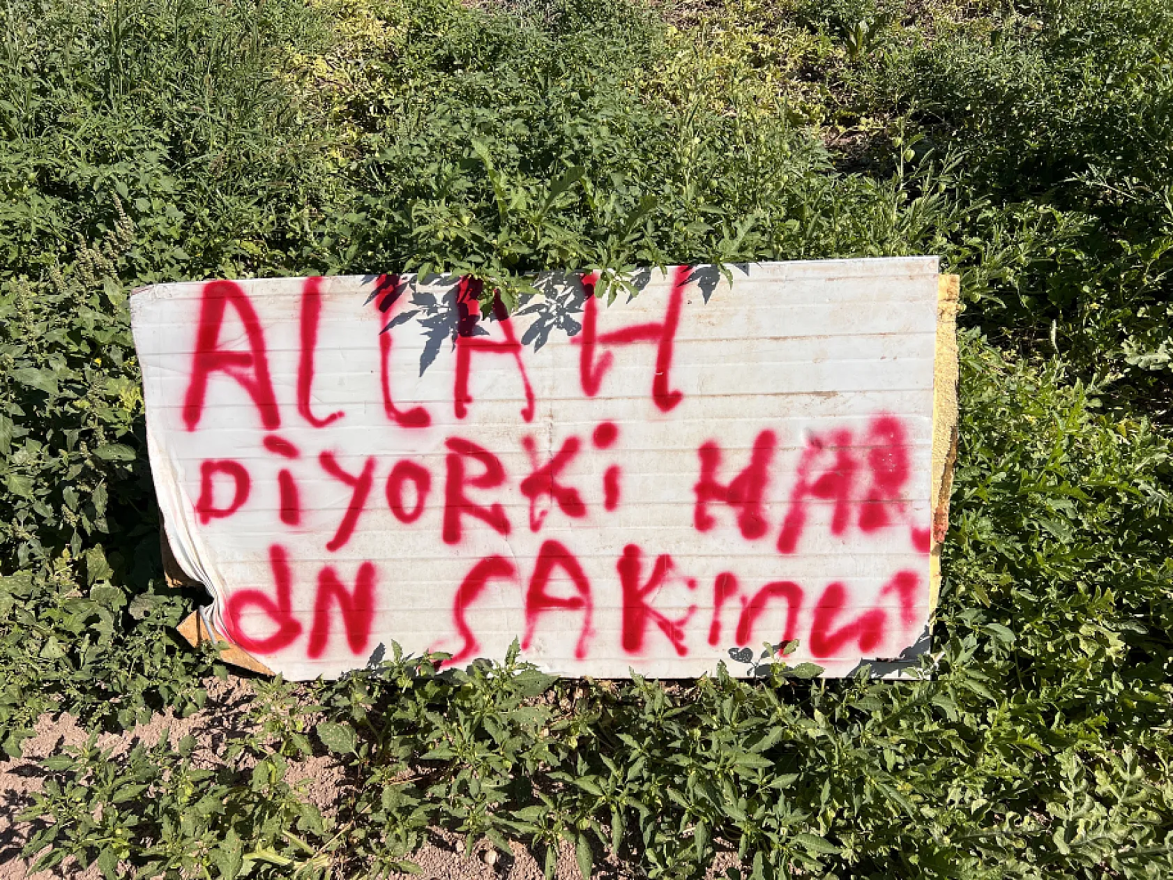 Karpuzlarını koruyamayan çiftçi tarlasında nöbet tutmaya başladı