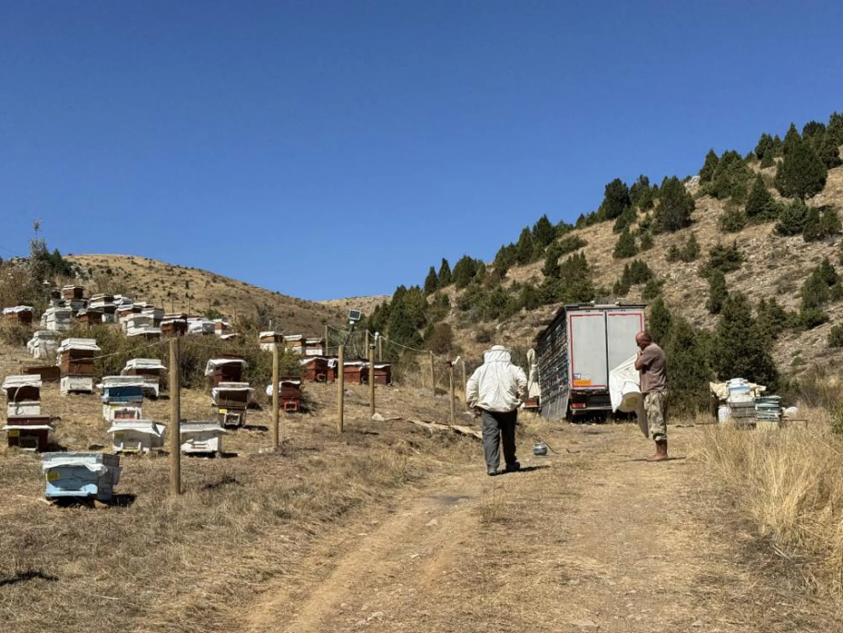 Kovanlar kilometrelerce yol kat ediyor, bal yaylalardan sofralara ulaşıyor