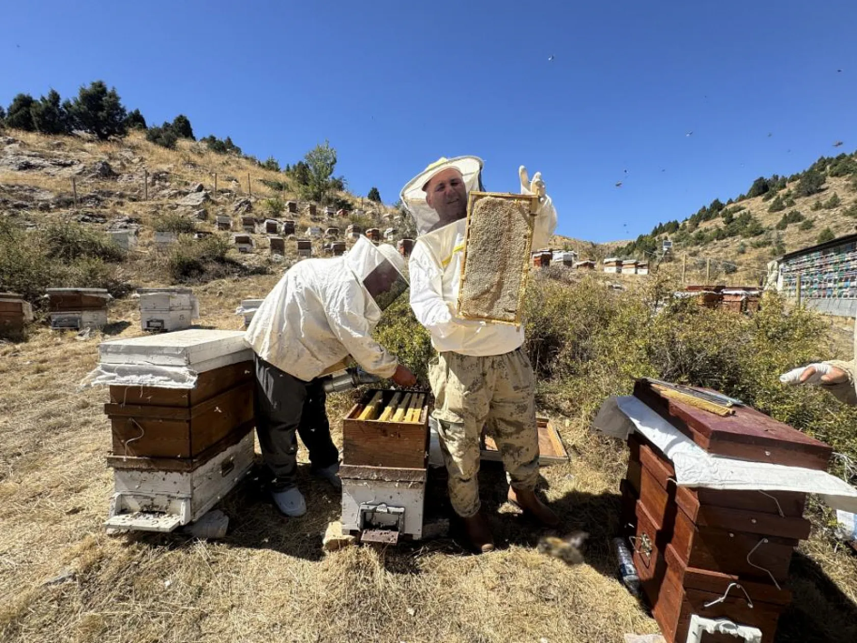 Kovanlar kilometrelerce yol kat ediyor, bal yaylalardan sofralara ulaşıyor