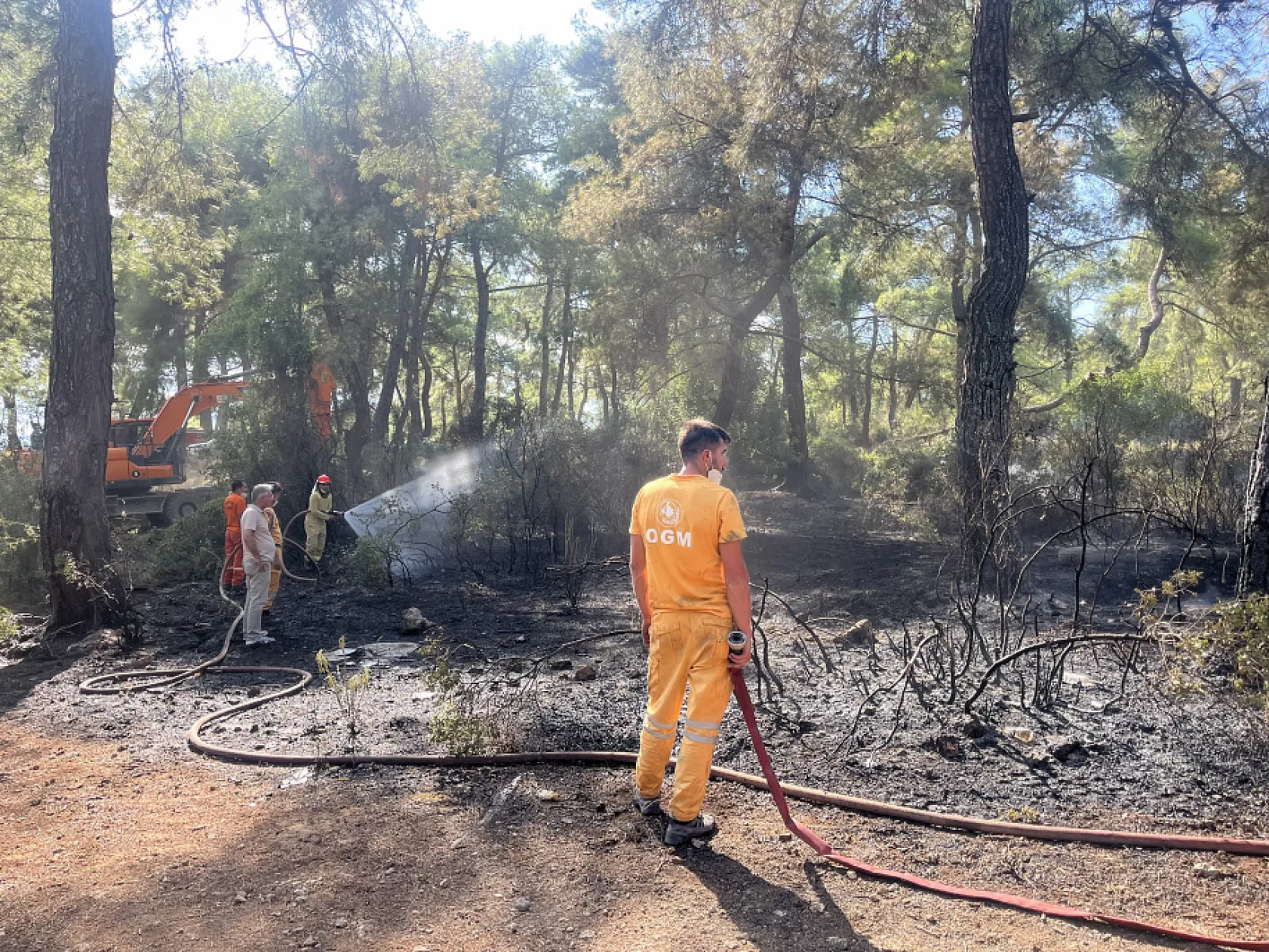 Antalya'da orman yangını paniği