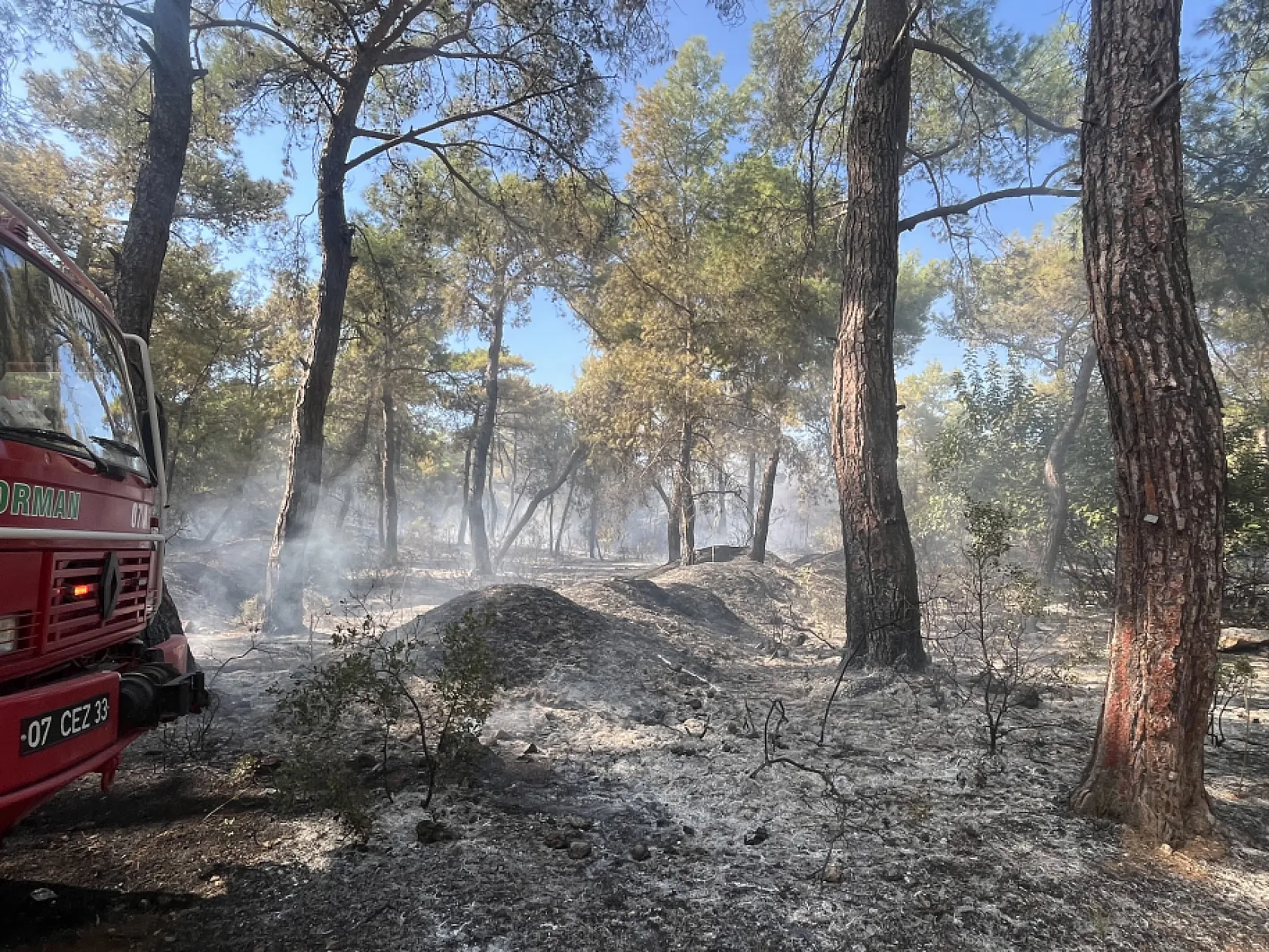 Antalya'da orman yangını paniği