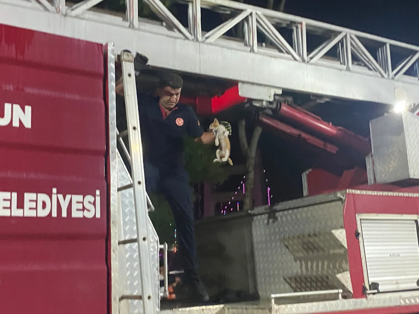 Ağaçta Mahsur Kalan Kediyi İtfaiye kurtardı