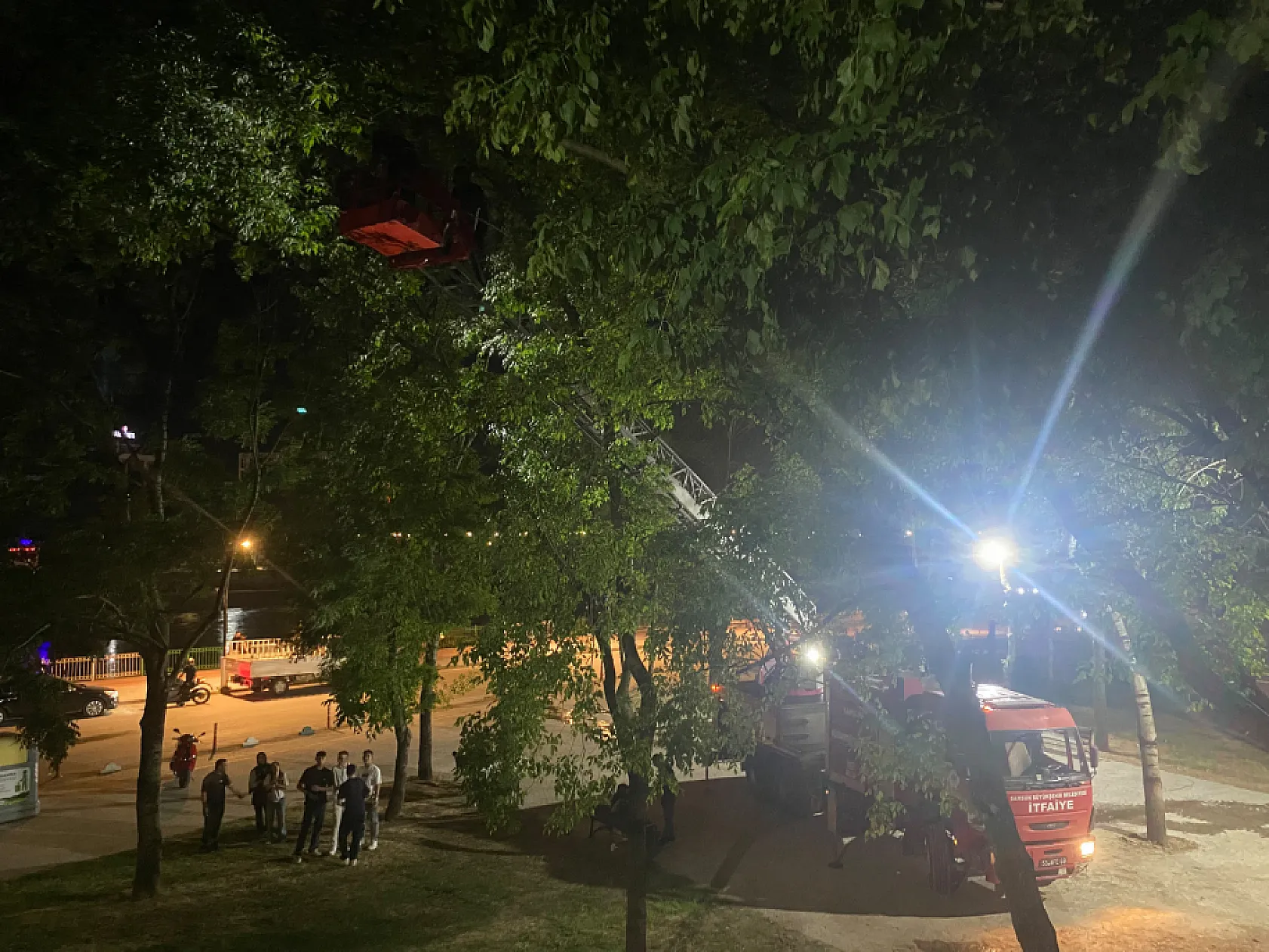 Ağaçta Mahsur Kalan Kediyi İtfaiye kurtardı