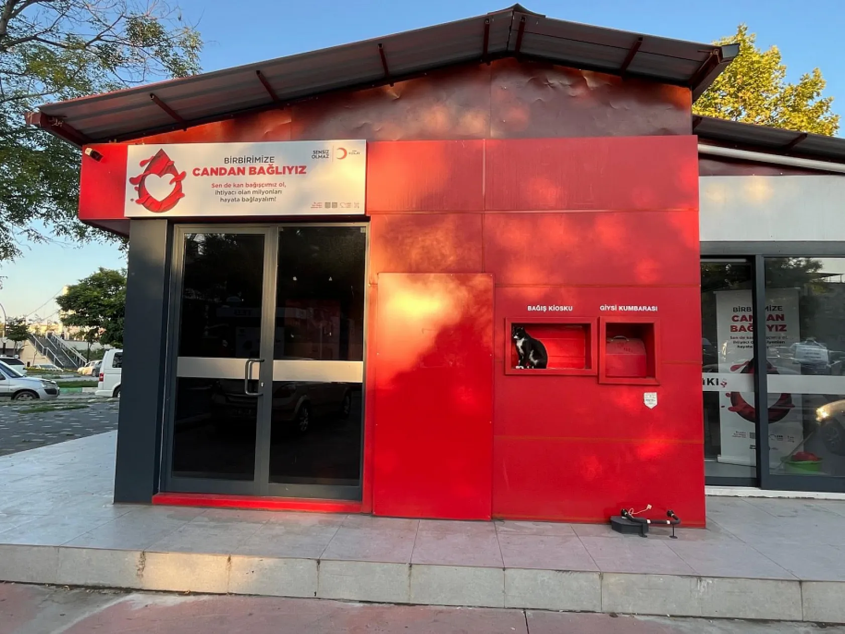 Samsun'da Kızılay Kiosku kedi tarafından korunuyor