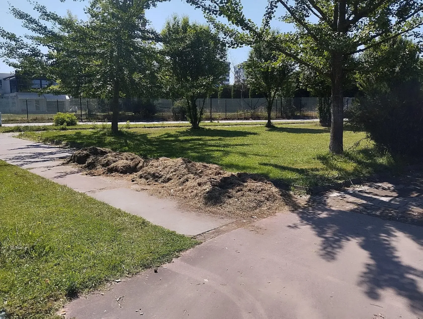 Çarşamba'da çevre düzenleme çalışmaları:  Park, bahçe ve caddeler yaza hazırlanıyor