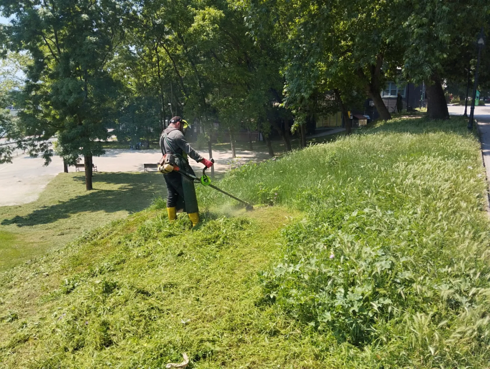 Çarşamba'da çevre düzenleme çalışmaları:  Park, bahçe ve caddeler yaza hazırlanıyor