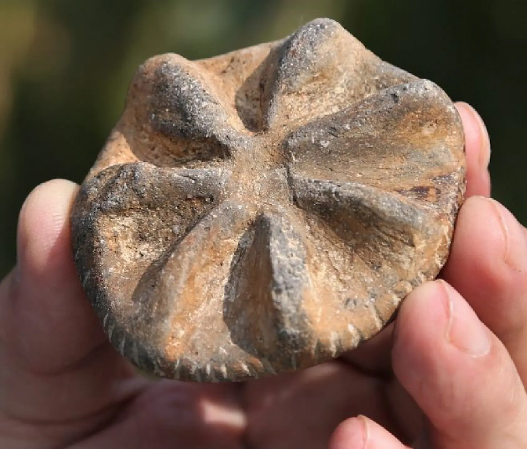 Yeşilova Höyüğü'nde 8 bin 500 yıl öncesinin izleri
