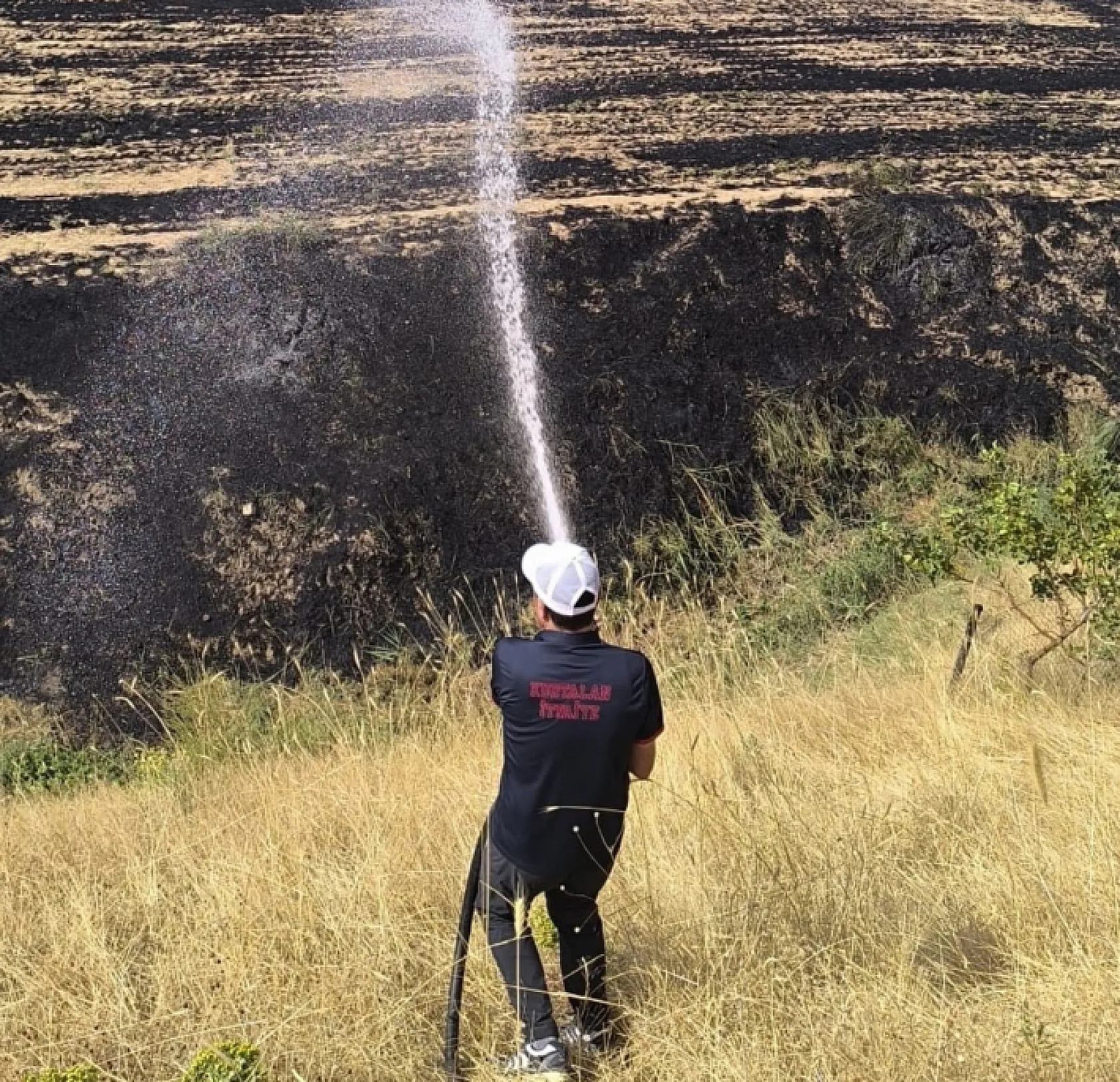 Anız yangını felakete dönüştü: Meyve bahçesi alevlere teslim oldu