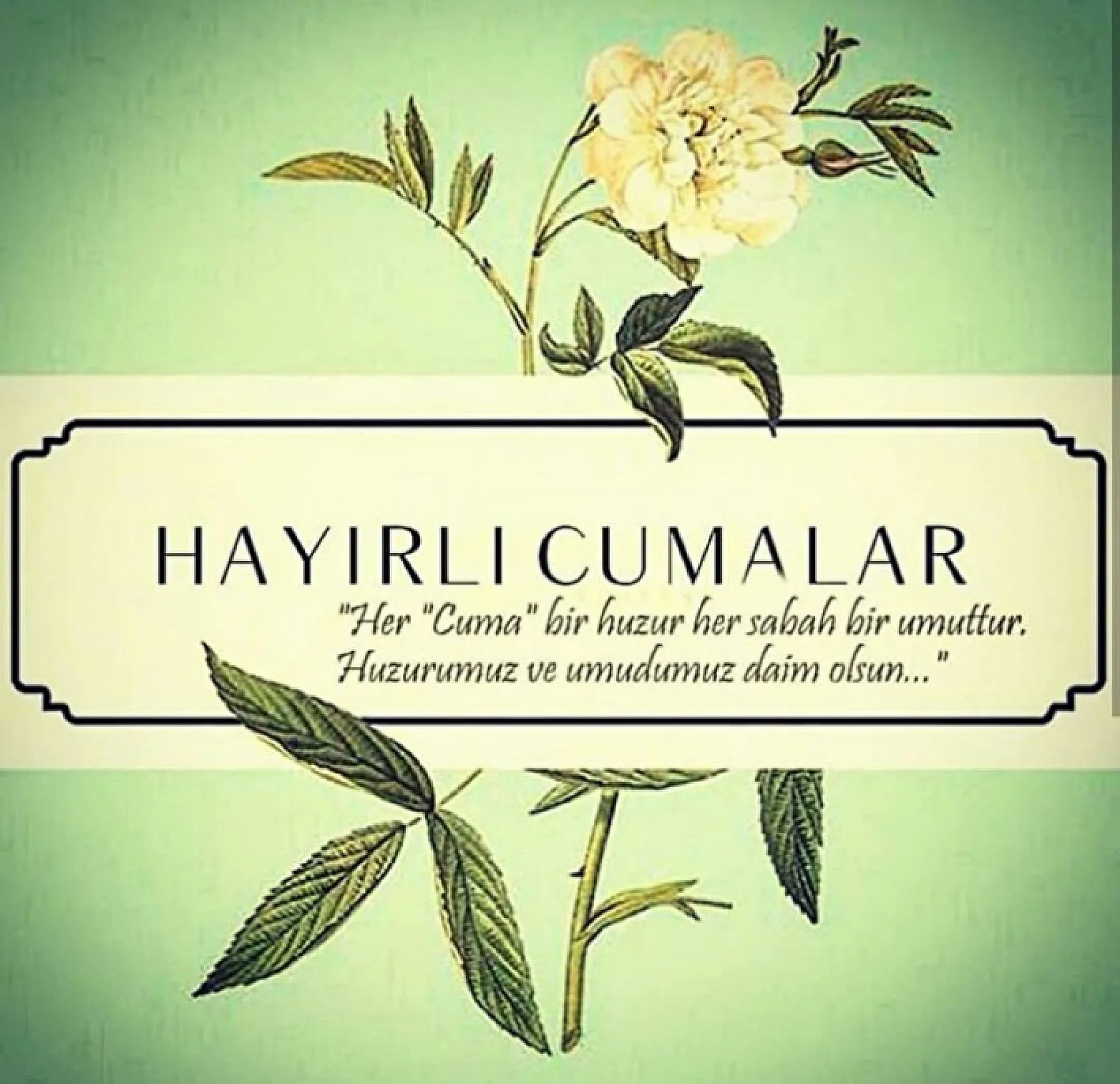 Resimli Hayırlı Cumalar Mesajları 2025