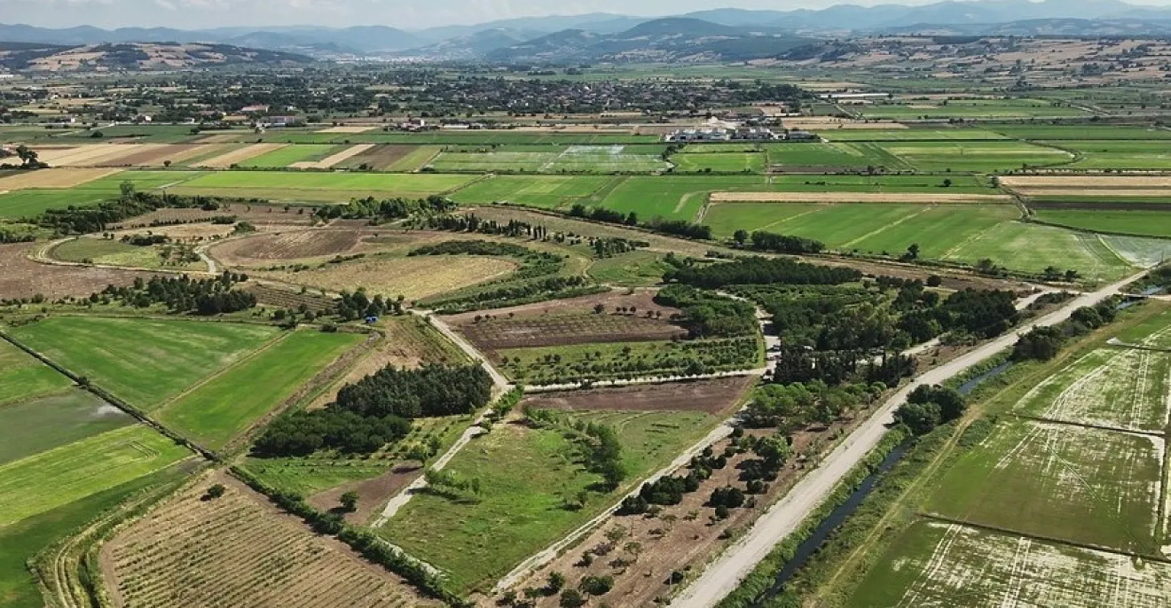 Tıbbi ve aromatik ürünler orman köylüsüne ek gelir sağlıyor