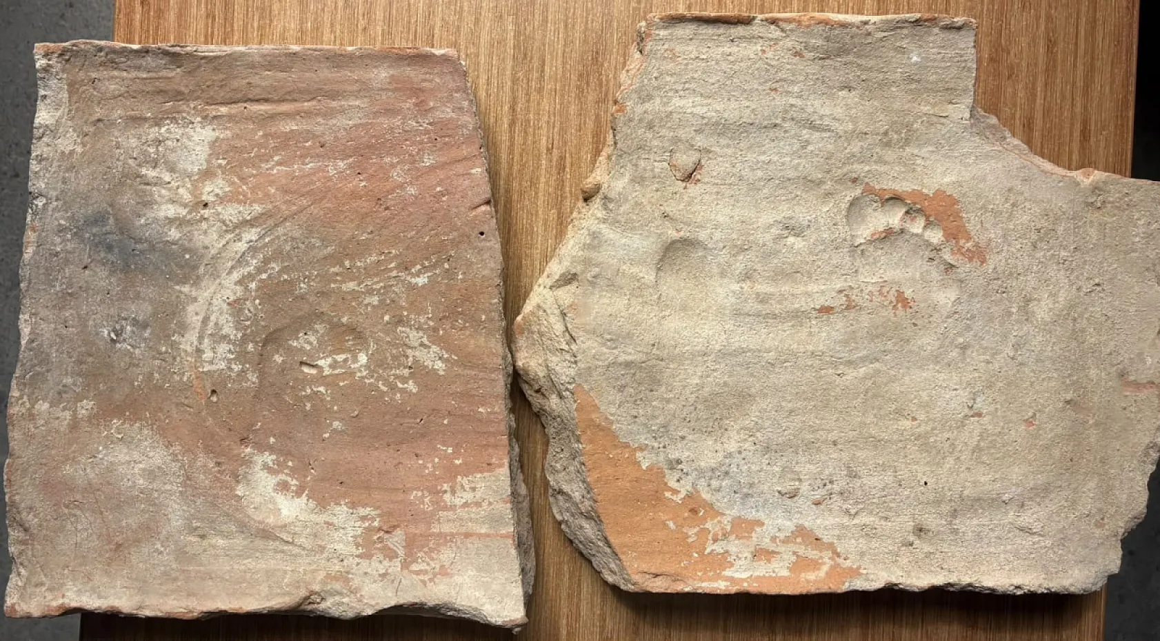 Stratonikeia'da bin 900 yıllık çocuk ayak izleri bulundu