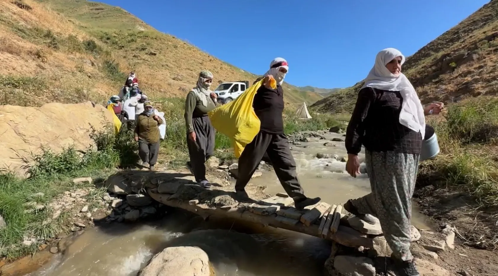 Kavurucu sıcakta berivanların zorlu yayla mesaisi