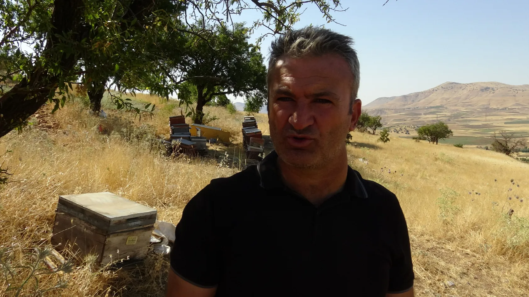 Kuraklığın ardından arıcıların yüzü güldü: Kovanlar bu yıl doldu