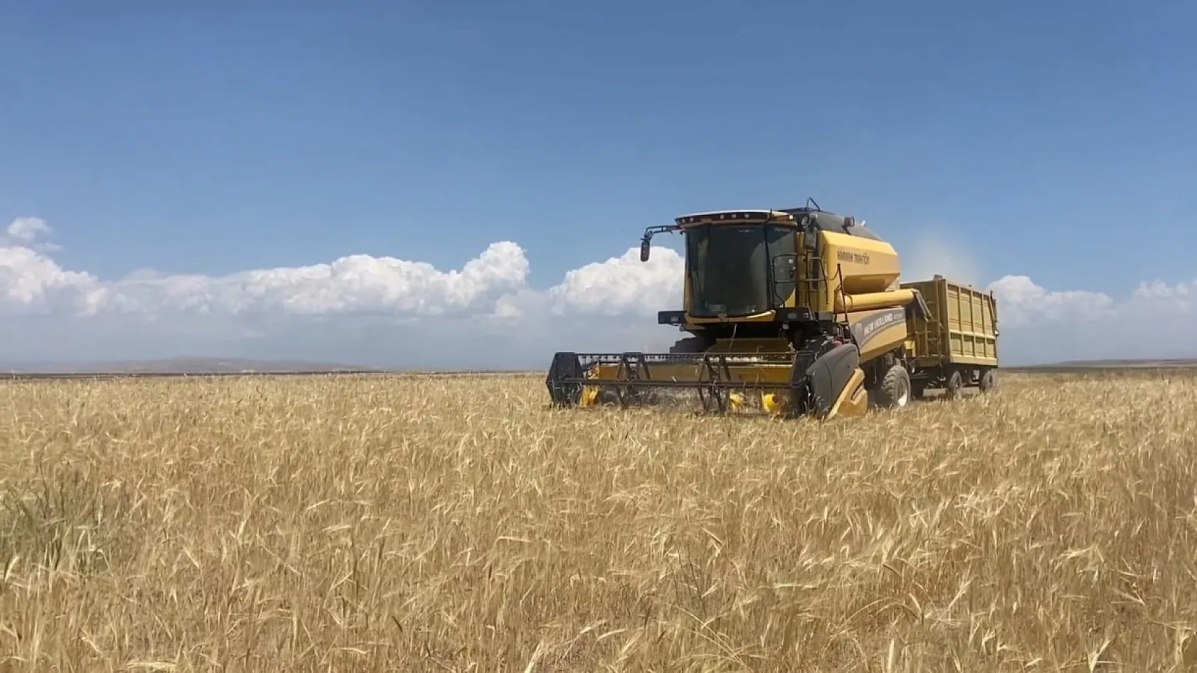 Adilcevaz'da Buğday Hasadı Başladı! 150 Bin Dekarlık Tarlada Bereket Mesaisi