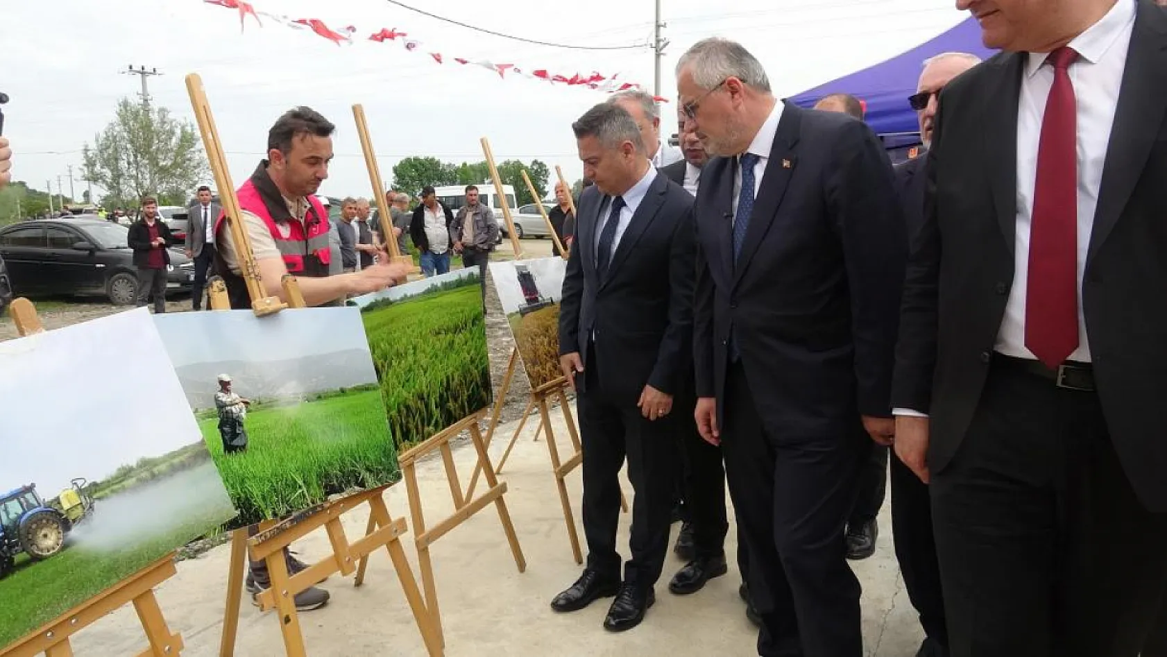 Bafra Ovası'nda çeltik mesaisi başladı