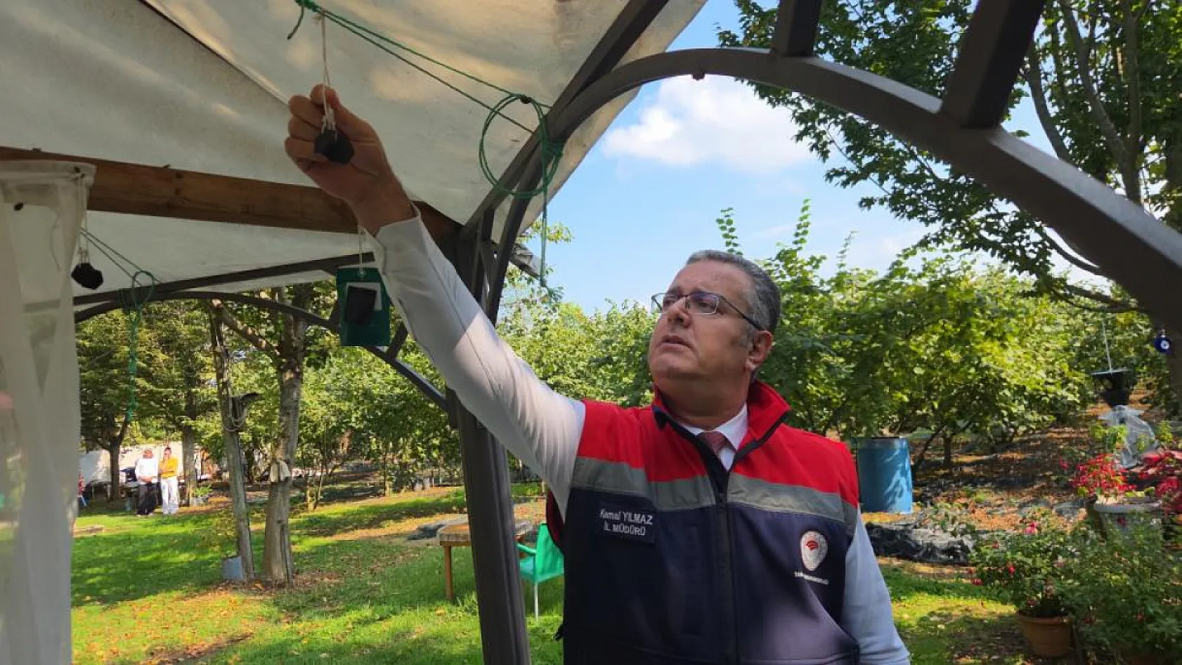 Kokarcalar önce cezbediliyor, sonra öldürülüyor