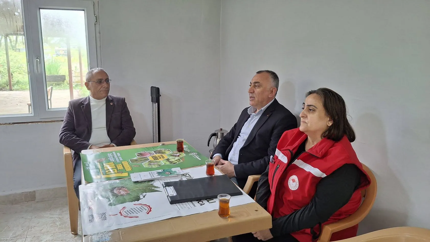 Kahverengi kokarca ve külleme için mücadele çağrısı