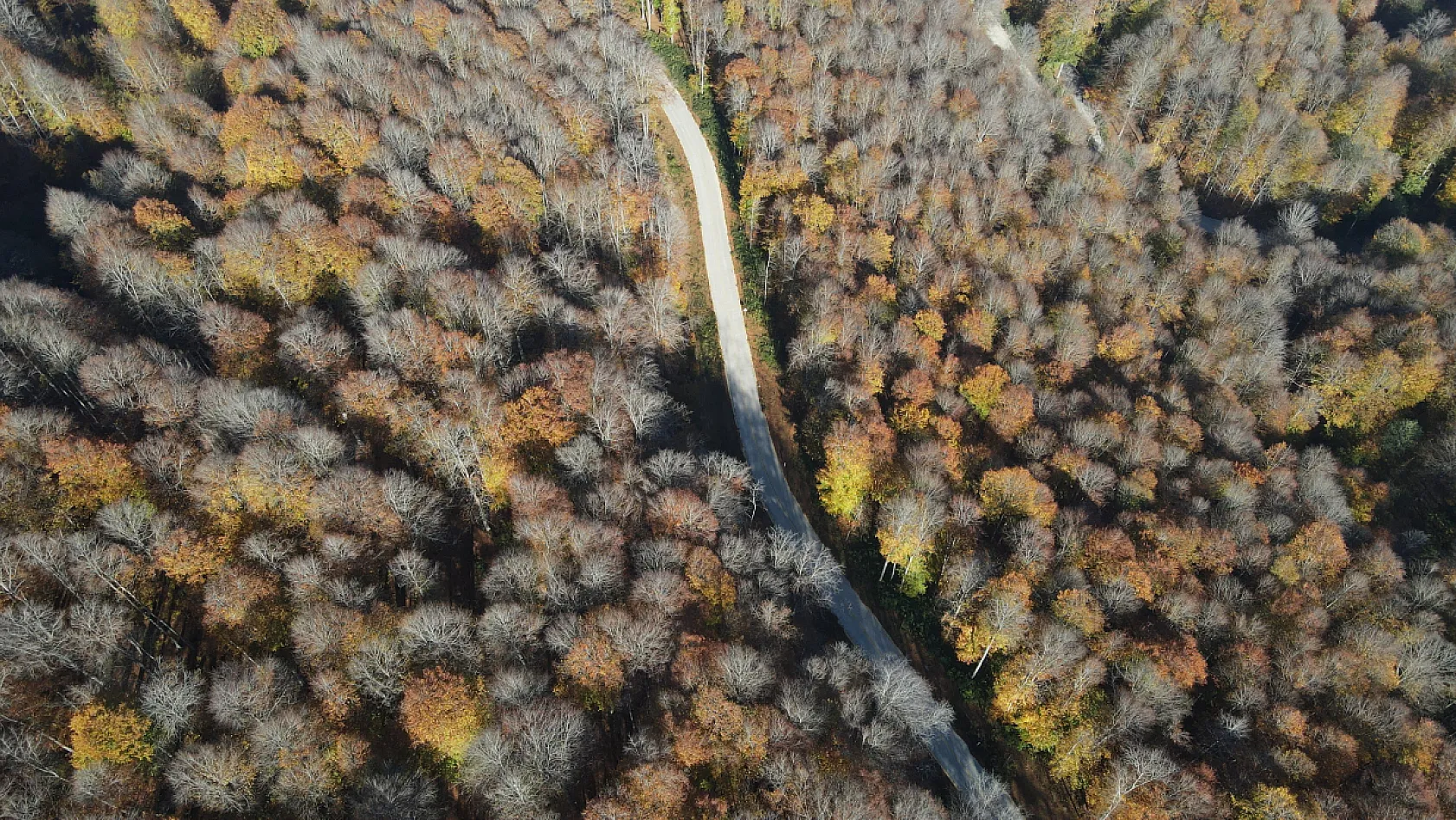 Sarı, Kahve, Yeşil… Nebiyan Dağı Sonbahara Büründü