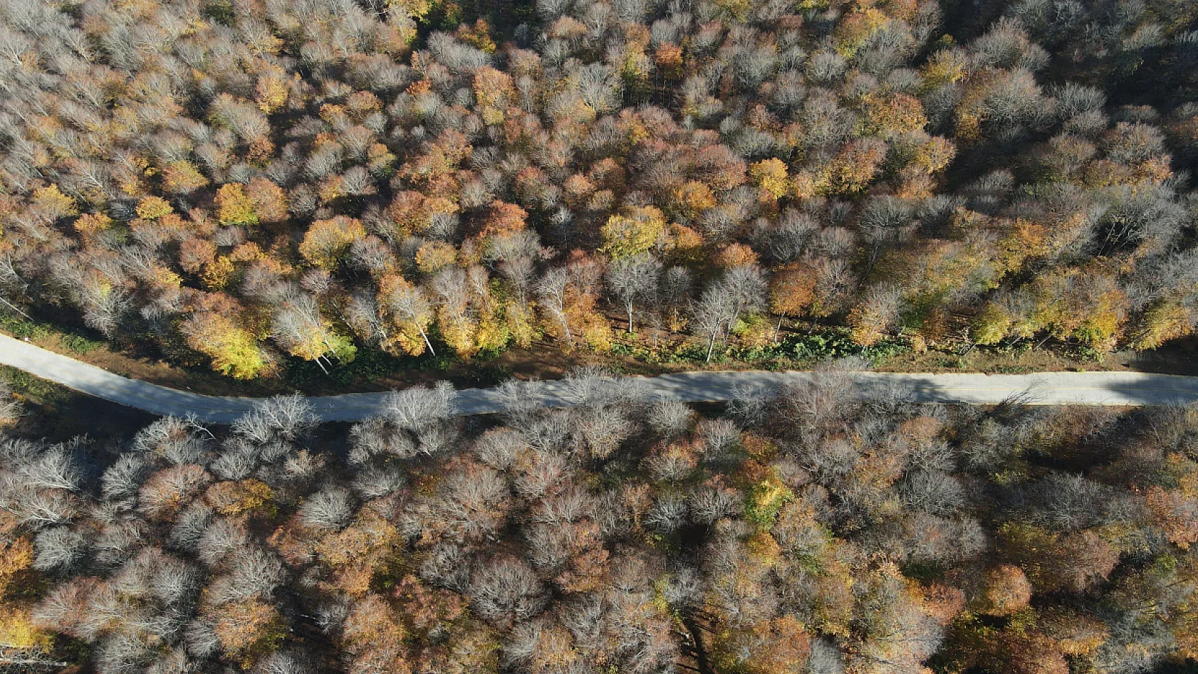 Sarı, Kahve, Yeşil… Nebiyan Dağı Sonbahara Büründü