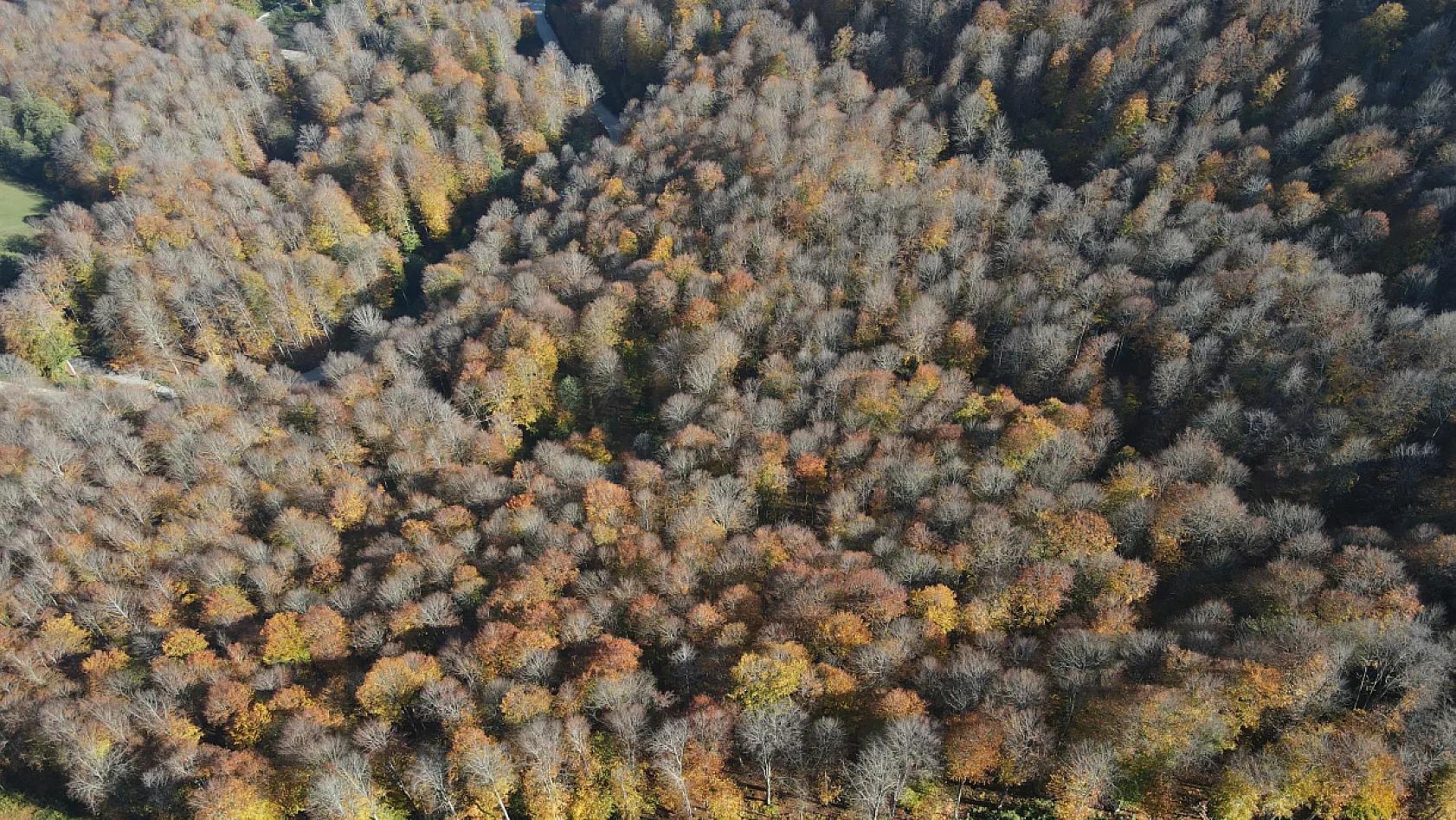 Sarı, Kahve, Yeşil… Nebiyan Dağı Sonbahara Büründü