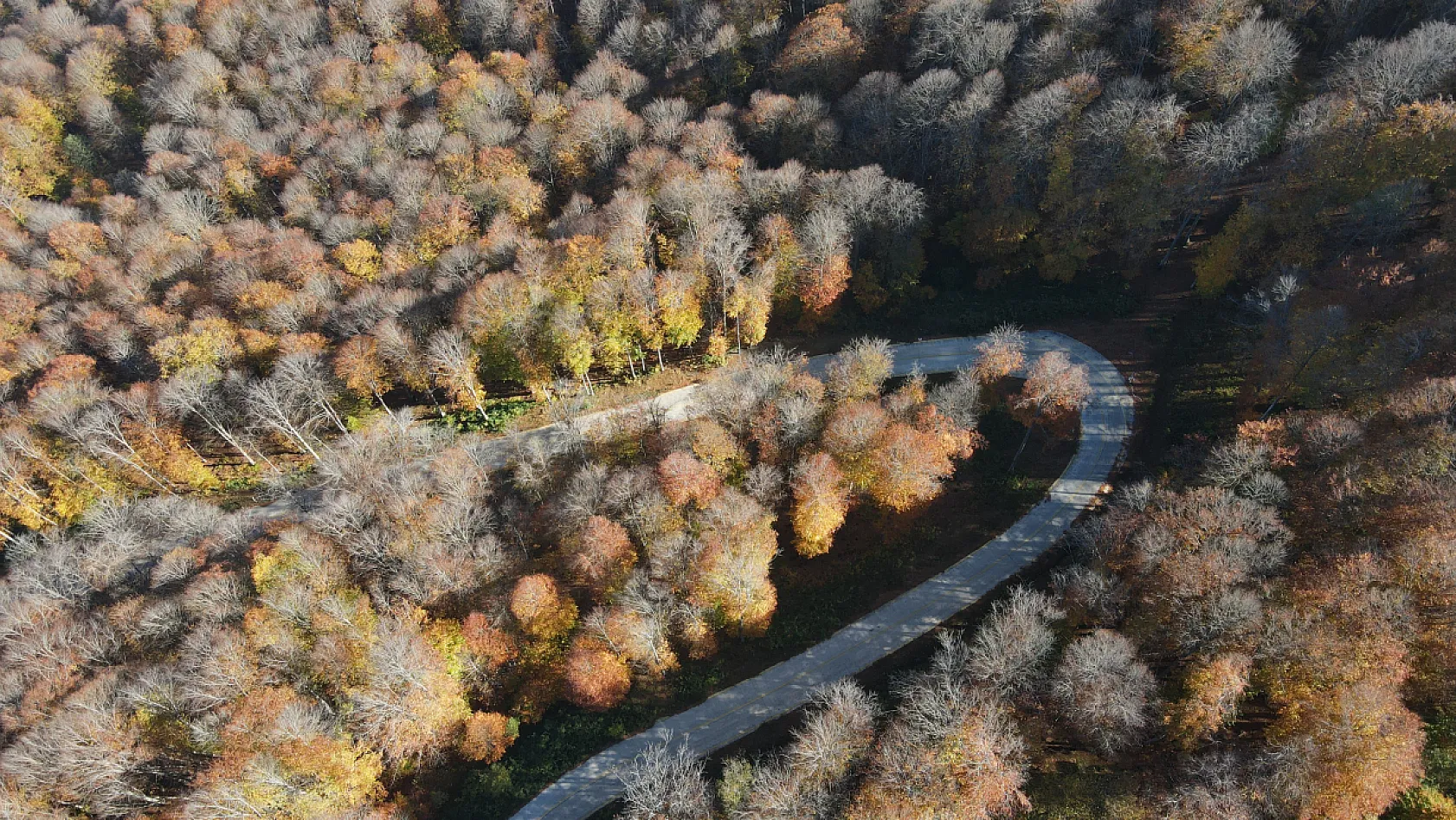 Sarı, Kahve, Yeşil… Nebiyan Dağı Sonbahara Büründü