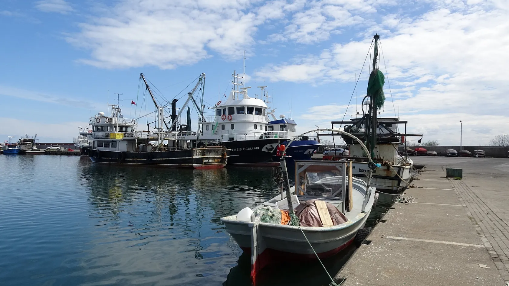 Samsun'da balık sezonu verimli geçti: Halk bu yıl balığa doydu