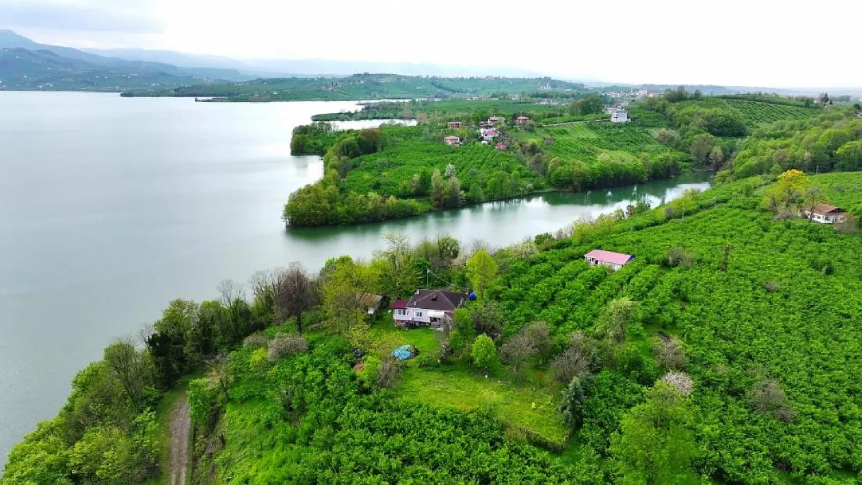 Samsun'un barajları nefes aldı: Doluluk yüzde 99'a dayandı
