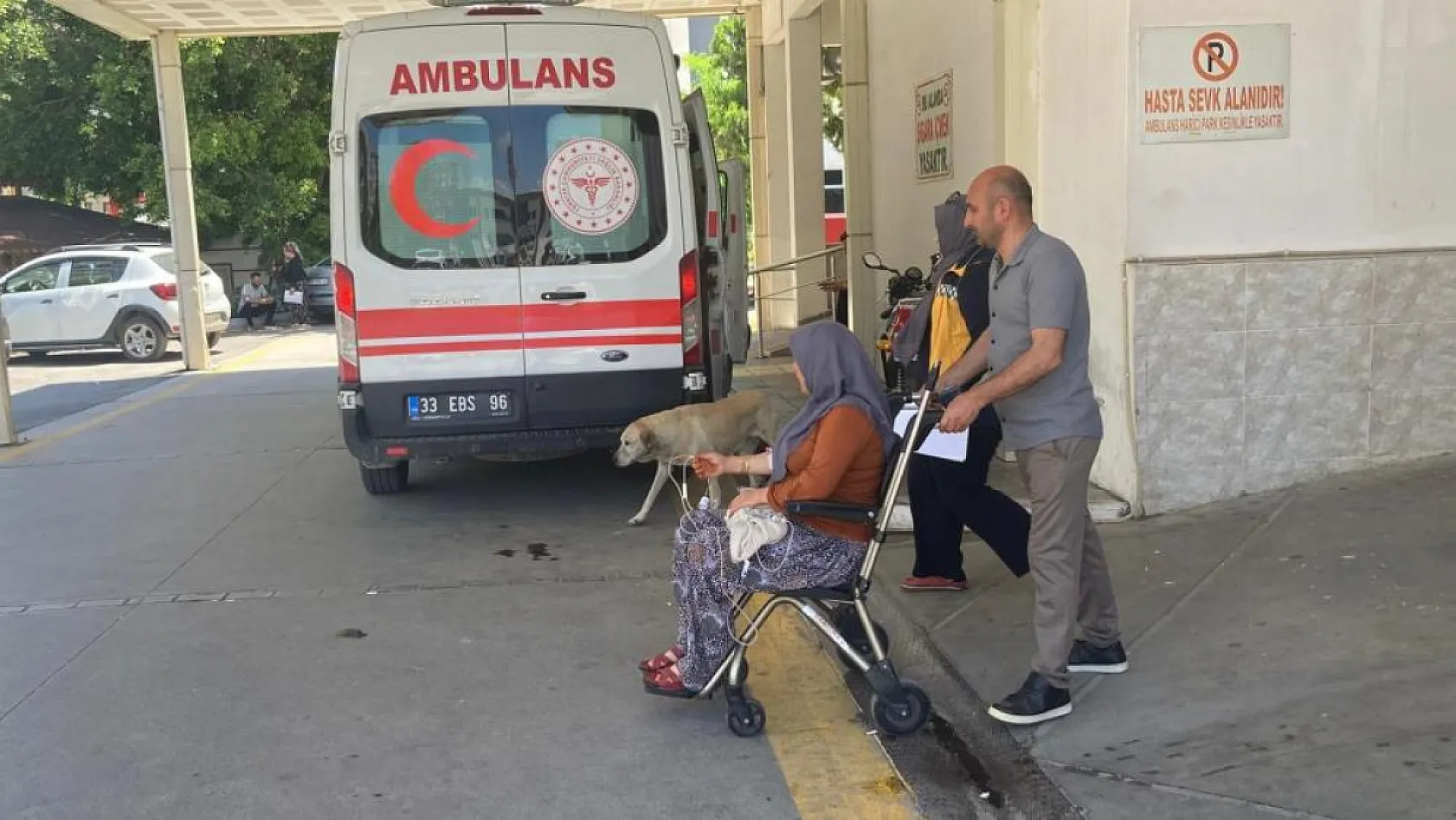 Yedikleri yabani mantar hastanelik etti: 7 kişi tedavi altında