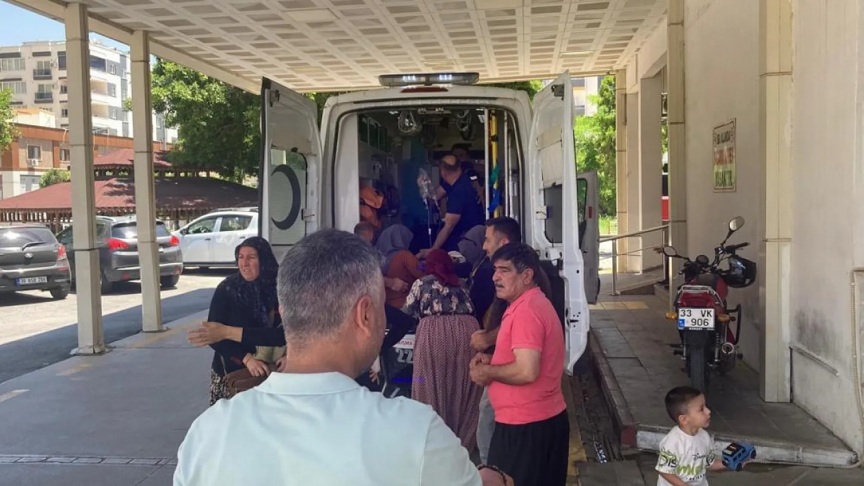 Yedikleri yabani mantar hastanelik etti: 7 kişi tedavi altında