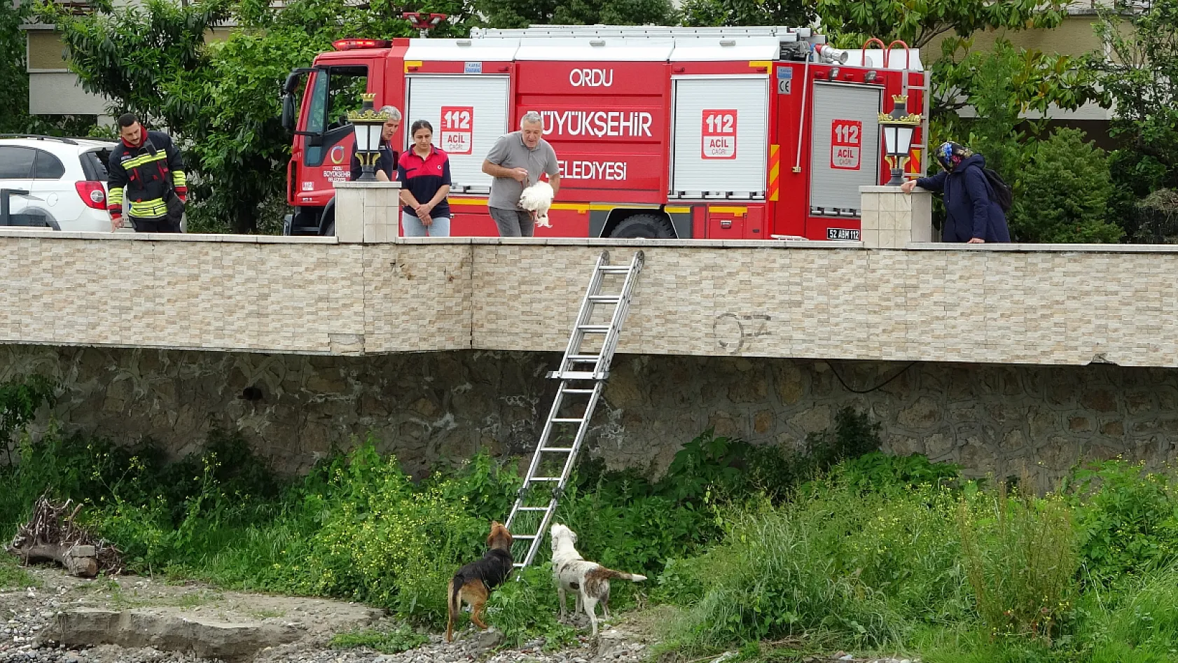 Köpeklerin yardımına itfaiye yetişti