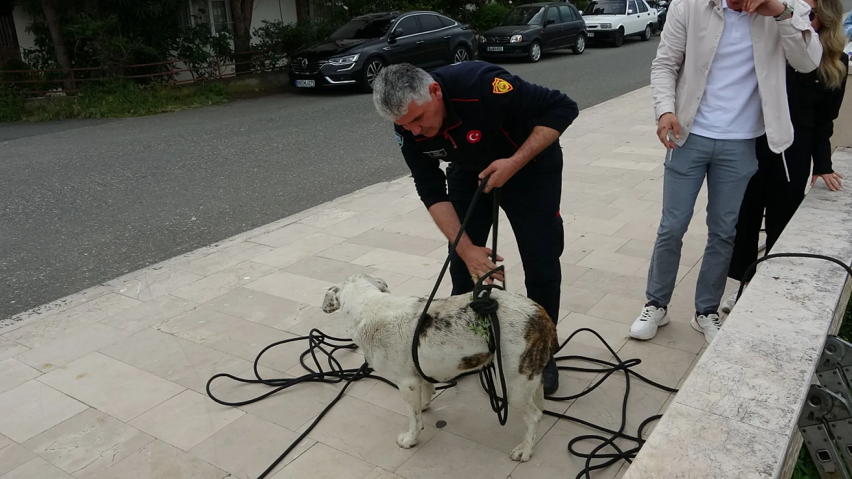 Köpeklerin yardımına itfaiye yetişti
