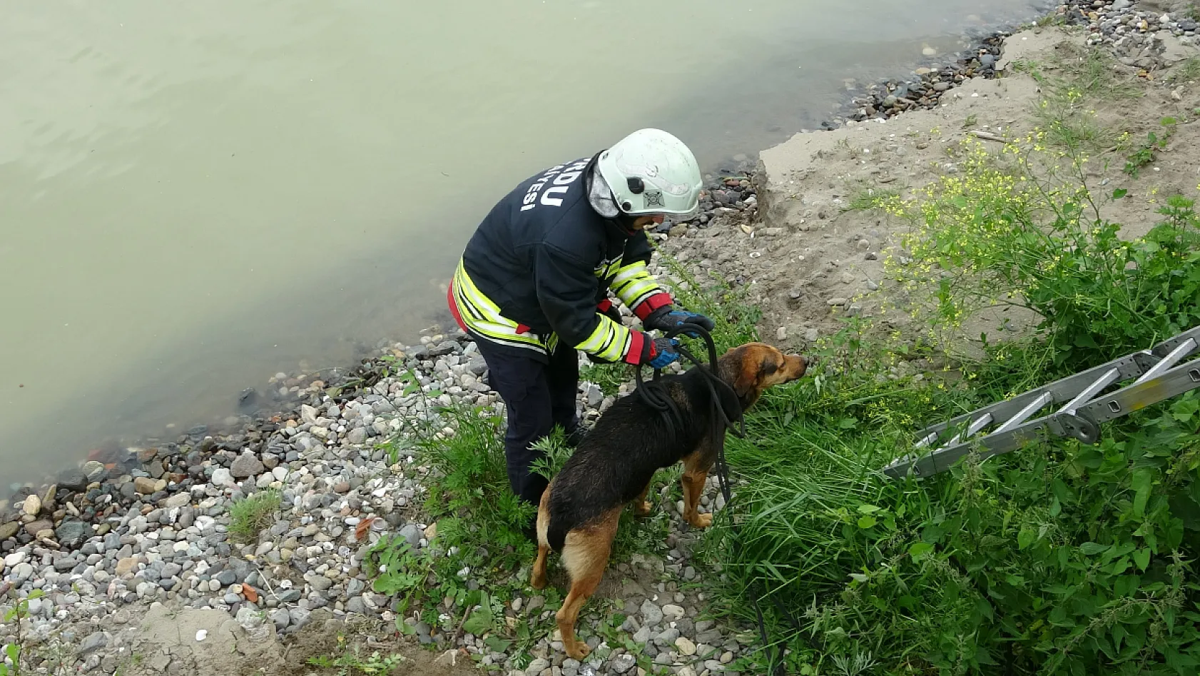 Köpeklerin yardımına itfaiye yetişti