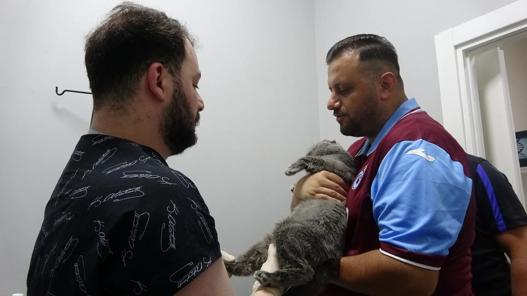 Sahibi Seferber Oldu, Kayıp Kedi Tom 4 Gün Sonra Bulundu