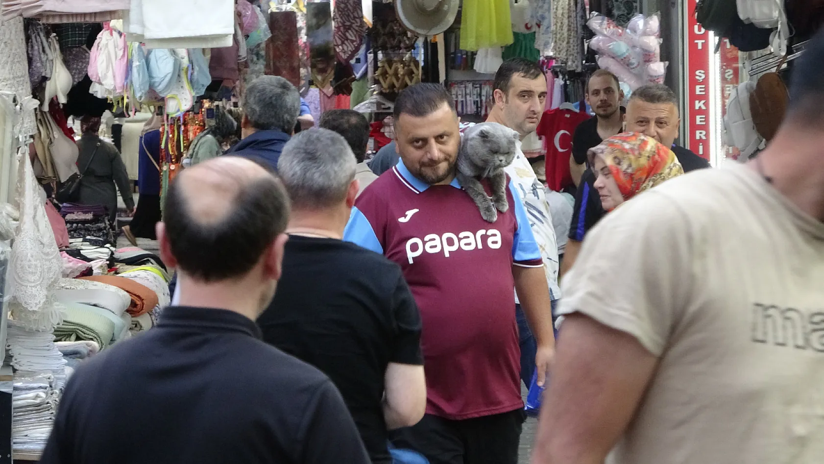 Sahibi Seferber Oldu, Kayıp Kedi Tom 4 Gün Sonra Bulundu