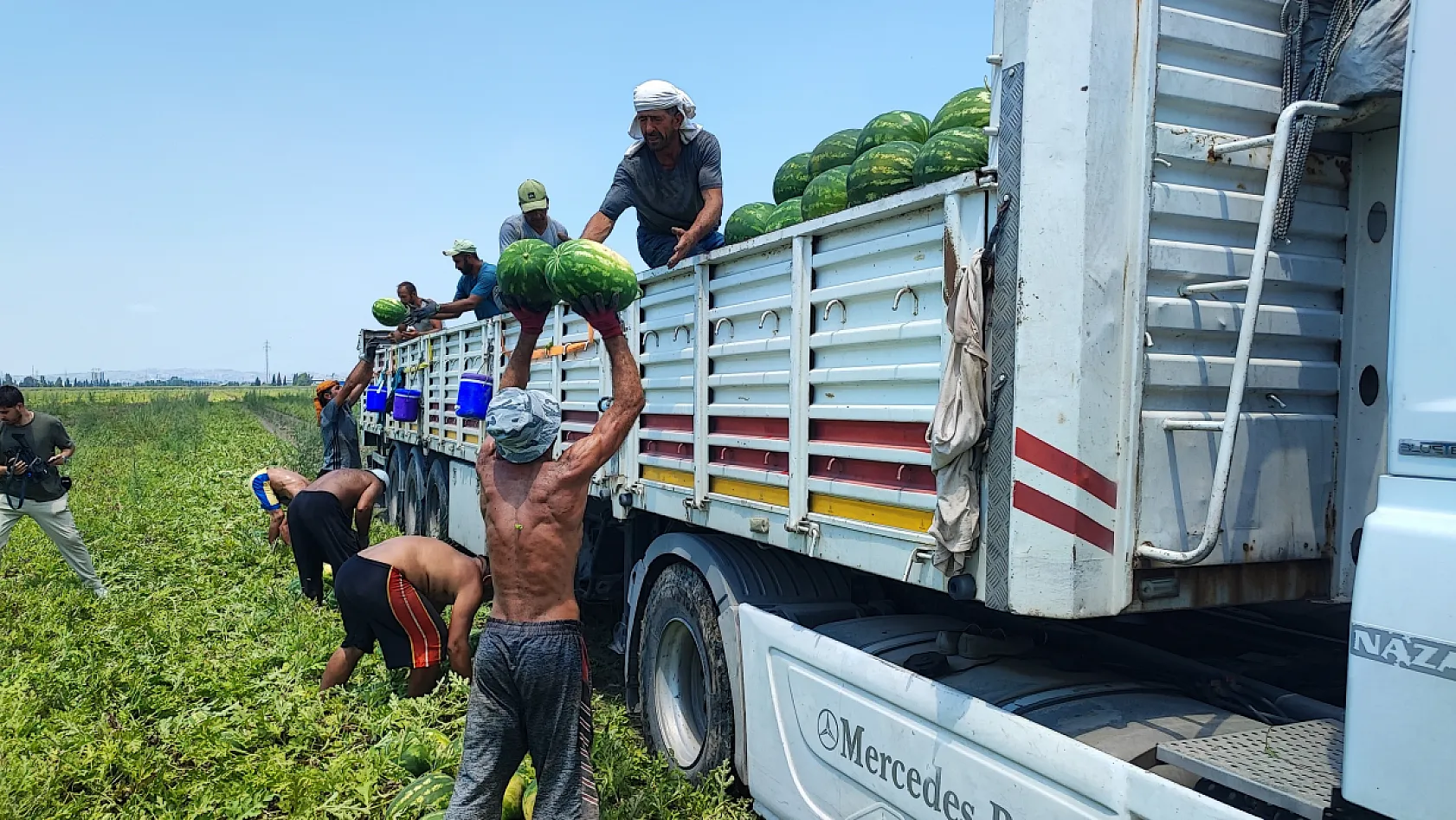 40 derecelik sıcakta karpuz mesaisi: İşçiler ekmek parası için ter döküyor