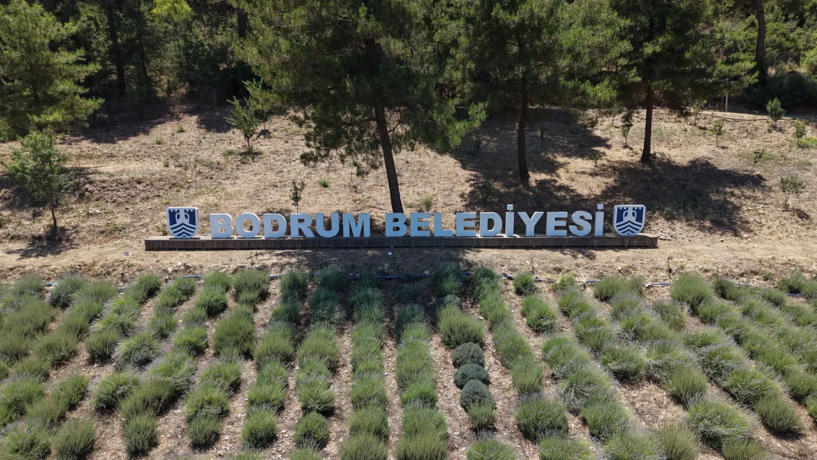 Gençlik Tarım Kampı Garaova'da Kapılarını Açtı