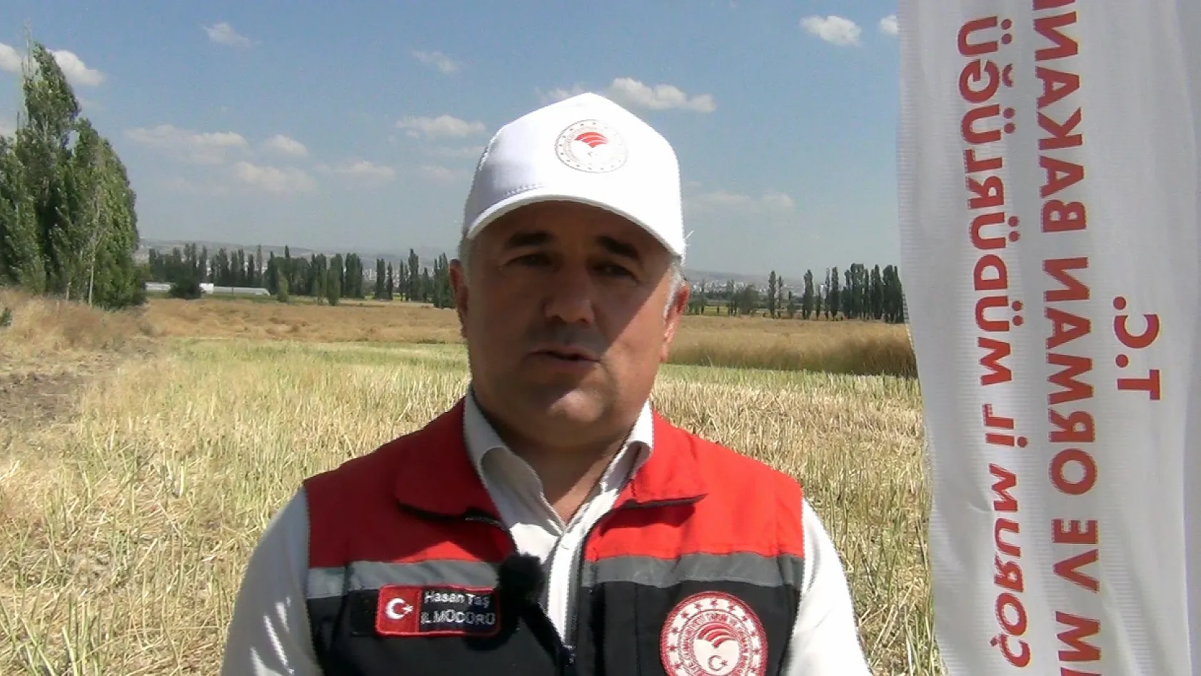 Planlı üretimin ilk meyvesi: Kanolada Verim beklentiyi aştı