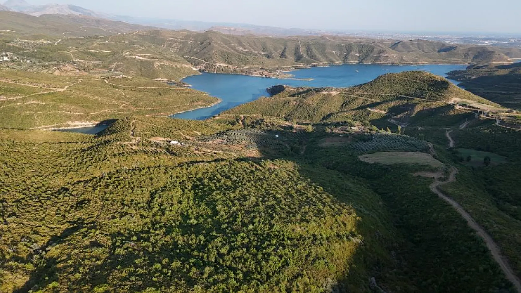 Manavgat'taki büyük orman yangınının üzerinden 5 yıl geçti: Yaralar sarıldı, doğa yeniden yeşeriyor