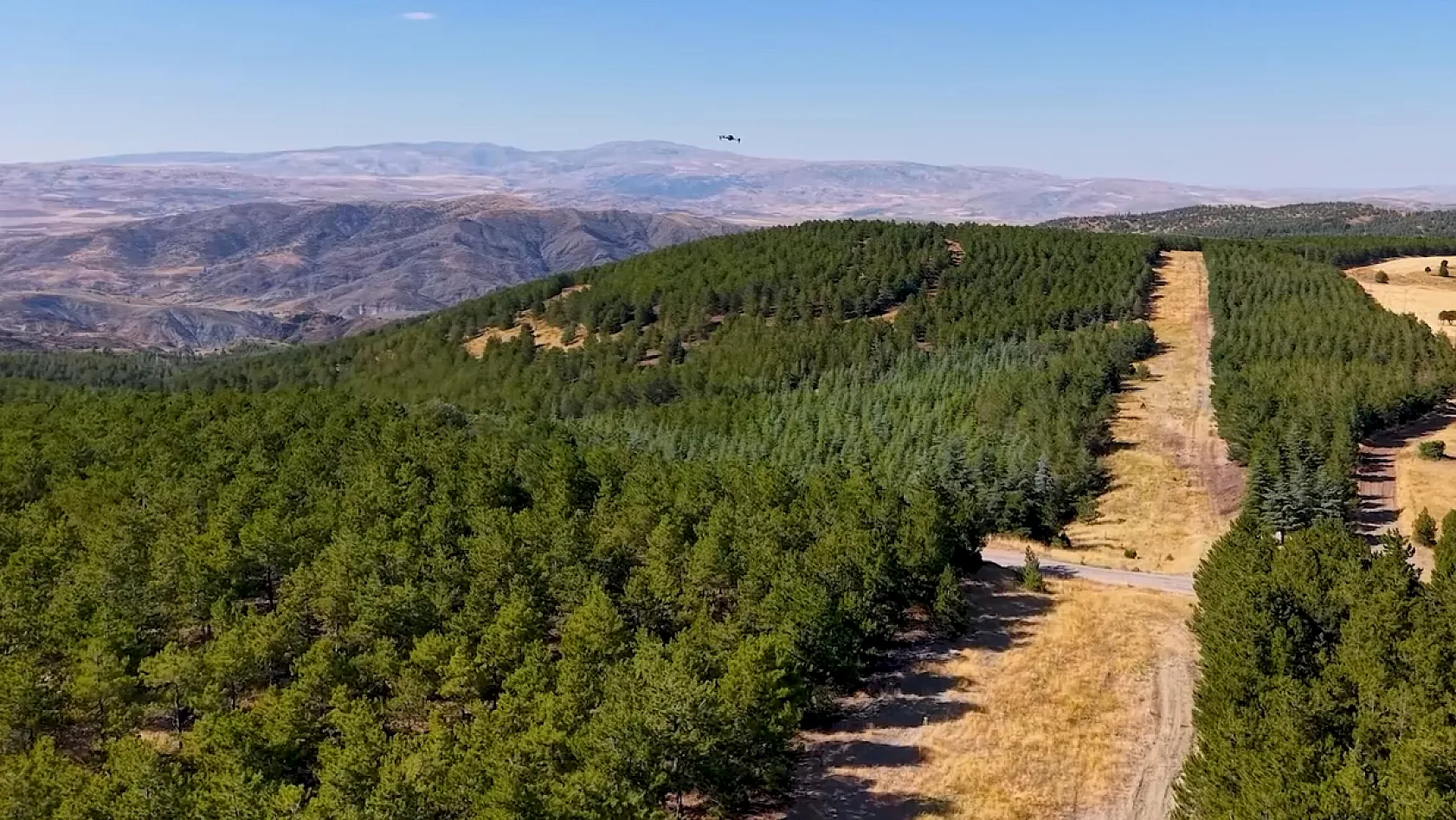 Jandarma komandolar orman nöbetinde: Dron destekli devriyeler artırıldı