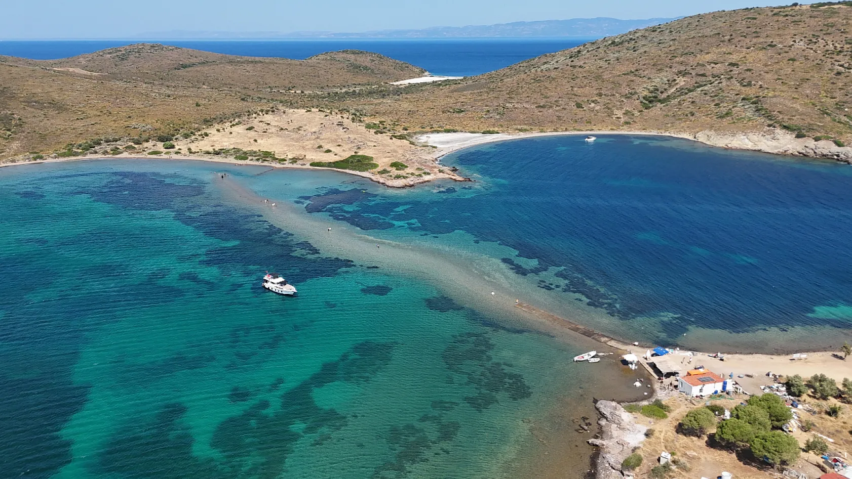 Cunda'dan Maden Adası'na denizden yürüyerek geçiyorlar