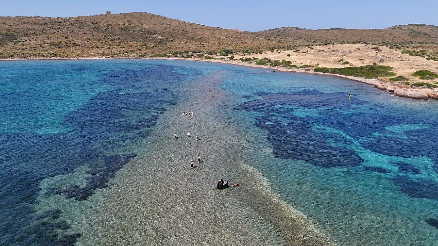 Cunda'dan Maden Adası'na denizden yürüyerek geçiyorlar