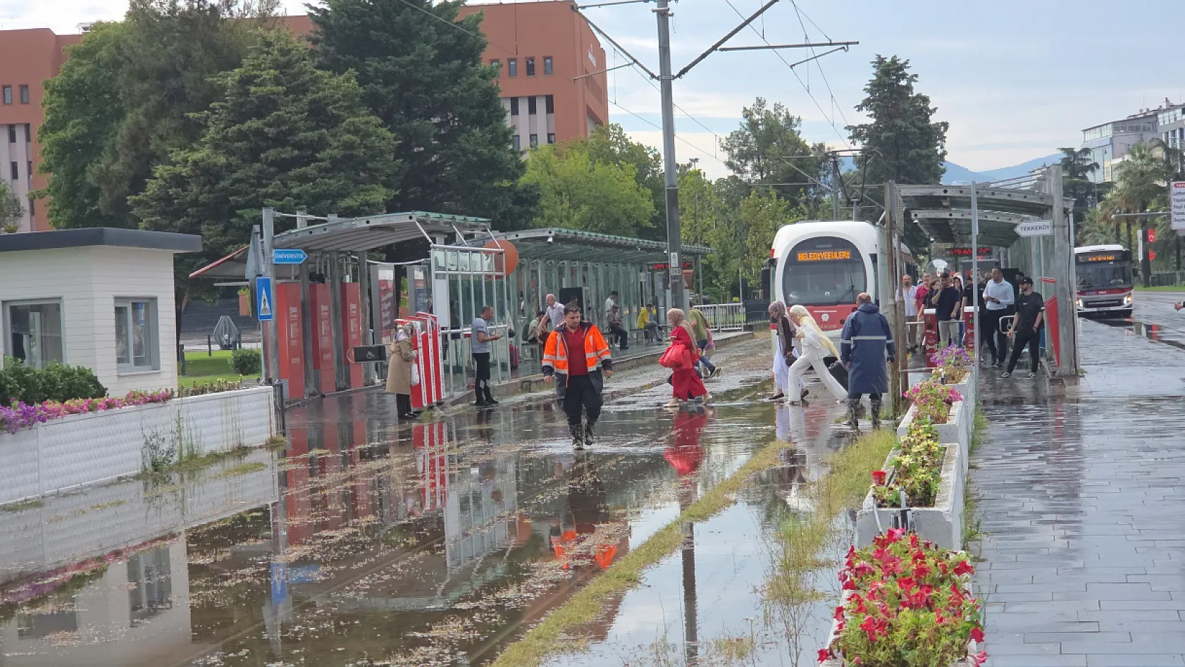 Samsun'da sağanak hayatı felç etti