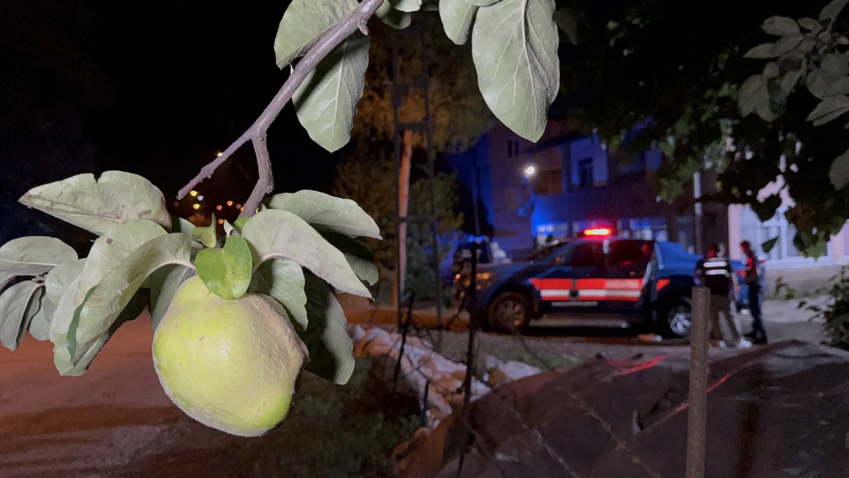 Samsun'da ayva dalı cinayeti: Amca-yeğen tartışması kanlı bitti