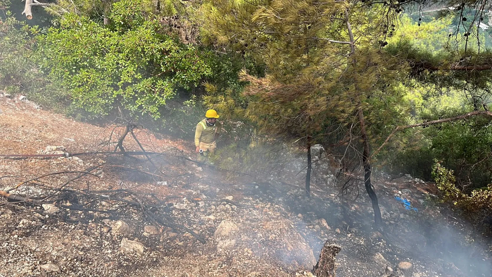 Alanya'da orman yangını: 1 dönüm alan zarar gördü