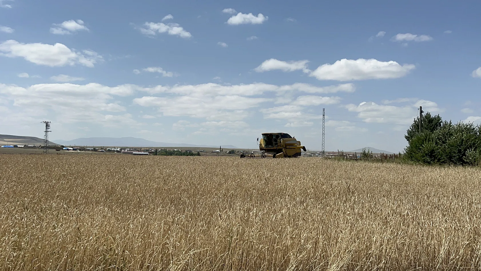 Kars'ta hasat mesaisi başladı: Çiftçiler zamanla yarışıyor